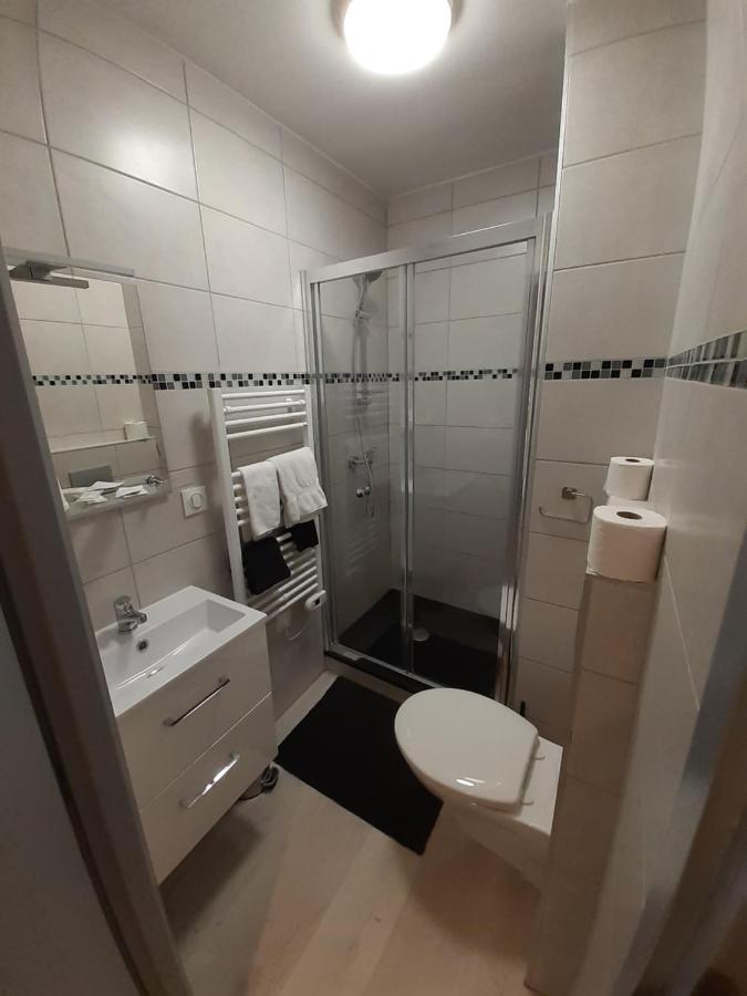 Les Appartements Du Saint Hubert Arcis-sur-Aube エクステリア 写真